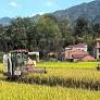 Farming made easy: how an APP is revolutionizing rural harvests in E China’s Jiangxi
