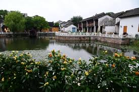 Harmonious, beautiful picture of rural revitalization unfolds in China