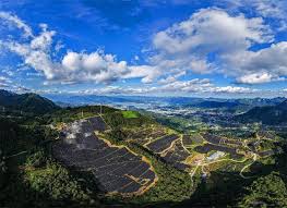 China’s commitment bolsters global confidence in climate governance