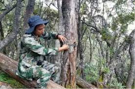 Father and son devoted over 30 years to protecting the Yunnan golden hair monkeys