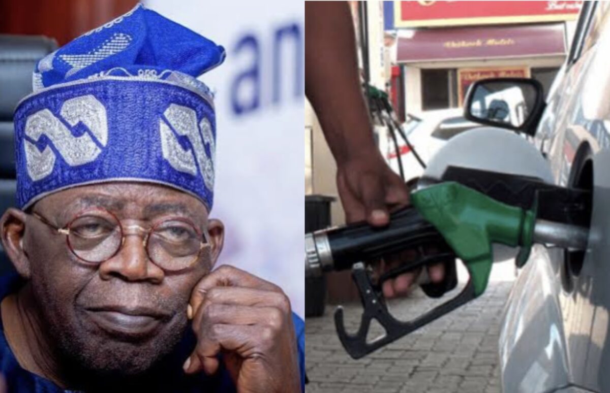 Coalition Kicks Over 15% Import Duty Deferment, Urges Tinubu  To Protect Local Industries