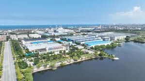 Small private firm in E China achieves breakthroughs in new materials