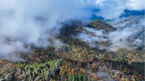 Heightened vigilance required over Japan’s dangerous strategic drift