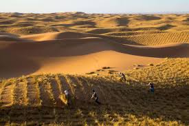 Wheat straw grids: China’s ingenious solution for sand control