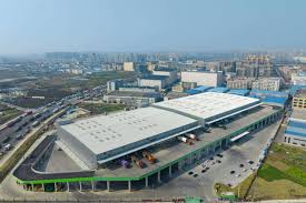 Booming demand fuels growth in China’s cold-chain logistics