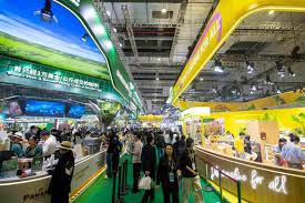 Pursuing development, innovation, win-win cooperation through openness